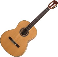 Photos - Acoustic Guitar Virginia CC-20 