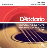 Strings DAddario Phosphor Bronze True Medium 13-56 
