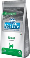 Photos - Cat Food Farmina Vet Life Feline Renal  400 g