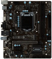 Photos - Motherboard MSI B250M PRO-VH 