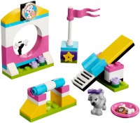 Photos - Construction Toy Lego Puppy Playground 41303 