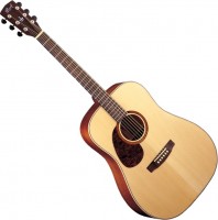 Photos - Acoustic Guitar Cort Earth 100LH 