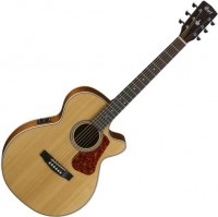 Acoustic Guitar Cort L100F 