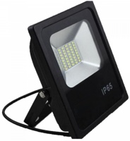 Photos - Floodlight / Street Light LEDEX 50W Premium 12735 
