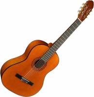 Photos - Acoustic Guitar Martinez MTC-080-P 