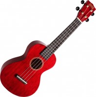 Acoustic Guitar MAHALO MH2 