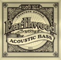 Strings Ernie Ball Earthwood Phosphor Bronze 45-95 