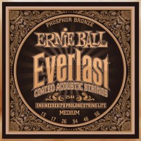 Photos - Strings Ernie Ball Everlast Coated Phosphor Bronze 13-56 