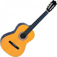 Acoustic Guitar Encore ENC44 