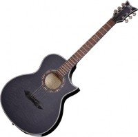 Photos - Acoustic Guitar Schecter Hellraiser Stage AC 