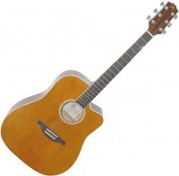 Photos - Acoustic Guitar SX DG25C 