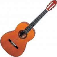 Photos - Acoustic Guitar Valencia CG190 