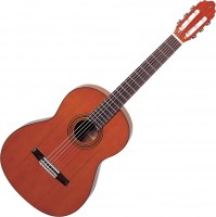 Photos - Acoustic Guitar Valencia CG30R 