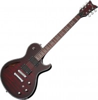 Photos - Guitar Schecter Hellraiser Solo-6 E/A 