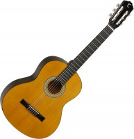 Photos - Acoustic Guitar Tanglewood DBT 44 