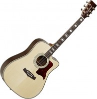 Photos - Acoustic Guitar Tanglewood TW1000 CE 