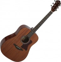 Photos - Acoustic Guitar Hohner HW300 
