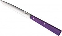 Kitchen Knife OPINEL №125 