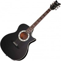 Photos - Acoustic Guitar Schecter SA-1 AC SGR 