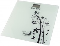 Photos - Scales Galaxy GL4800 