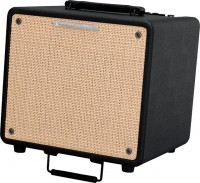 Photos - Guitar Amp / Cab Ibanez Troubadour T80N 