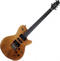 Photos - Guitar Godin xtSA Koa 