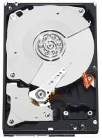 Photos - Hard Drive WD RE3 WD2502ABYS 250 GB