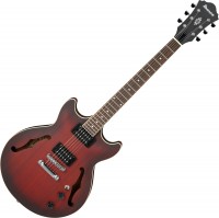 Guitar Ibanez AM53 