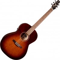 Photos - Acoustic Guitar Seagull Entourage Folk QIT 