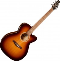 Photos - Acoustic Guitar Seagull Entourage Rustic CW Concert Hall QIT 