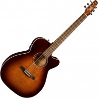 Photos - Acoustic Guitar Seagull Performer CW Concert Hall QIT 