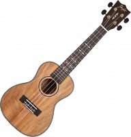 Acoustic Guitar Flight DUC-450 