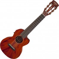 Photos - Acoustic Guitar Gretsch G9126 A.C.E. 
