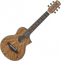 Acoustic Guitar Ibanez EWP14WB 