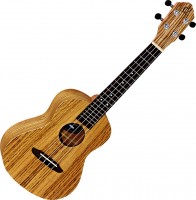 Acoustic Guitar Ortega RFU11Z 