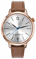 Wrist Watch ESPRIT ES906562001 