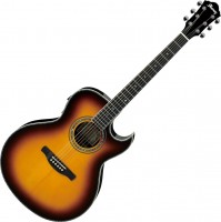 Acoustic Guitar Ibanez JSA20 