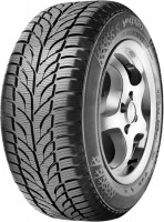 Tyre PAXARO 4x4 Winter 225/55 R17 101V 