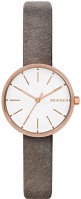 Wrist Watch Skagen SKW2644 