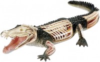 Photos - 3D Puzzle 4D Master Crocodile Anatomy Model 26114 