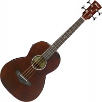 Acoustic Guitar Ibanez AVNB1E 