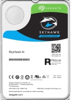 Photos - Hard Drive Seagate SkyHawk AI ST24000VE002 24 TB