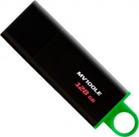 Photos - USB Flash Drive Kingston DataTraveler 3.1 128Gb 