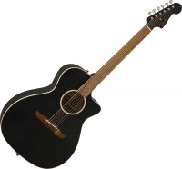Acoustic Guitar Fender Newporter Special 