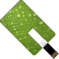 Photos - USB Flash Drive GOODRAM Plastic Credit Card 8 GB