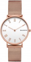 Wrist Watch Skagen SKW2714 