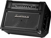 Photos - Guitar Amp / Cab Traynor DB300T 