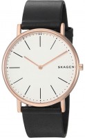 Wrist Watch Skagen SKW6430 