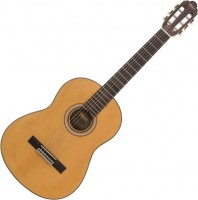 Acoustic Guitar Valencia VC404 