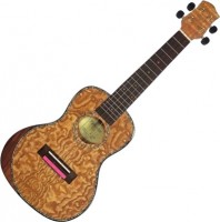 Photos - Acoustic Guitar Parksons UK24FM 